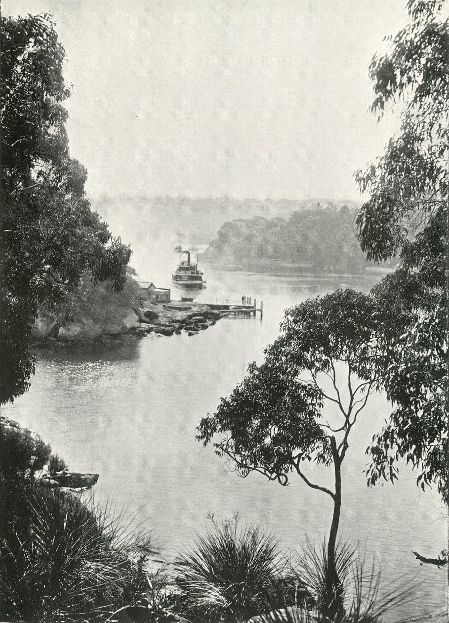 Mosmans Bay, vom Cremorne Steg, um 1900 von Unbekannt