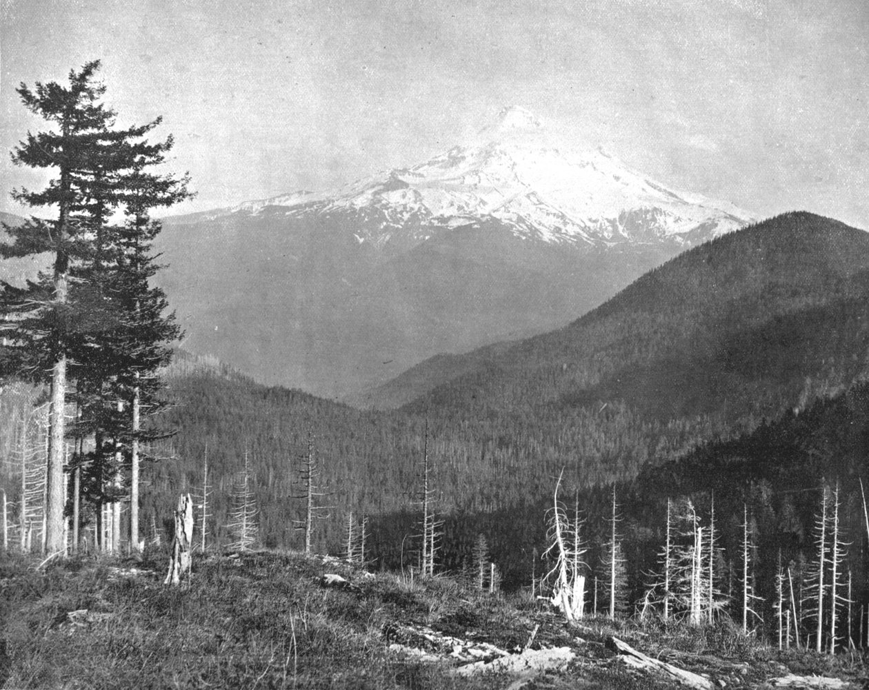 Mount Hood, Oregon, USA, um 1900 von Unbekannt