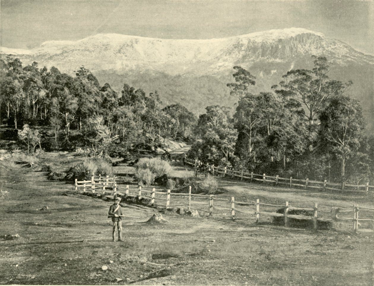 Mount Wellington, von der Huon Road, 1901 von Unbekannt