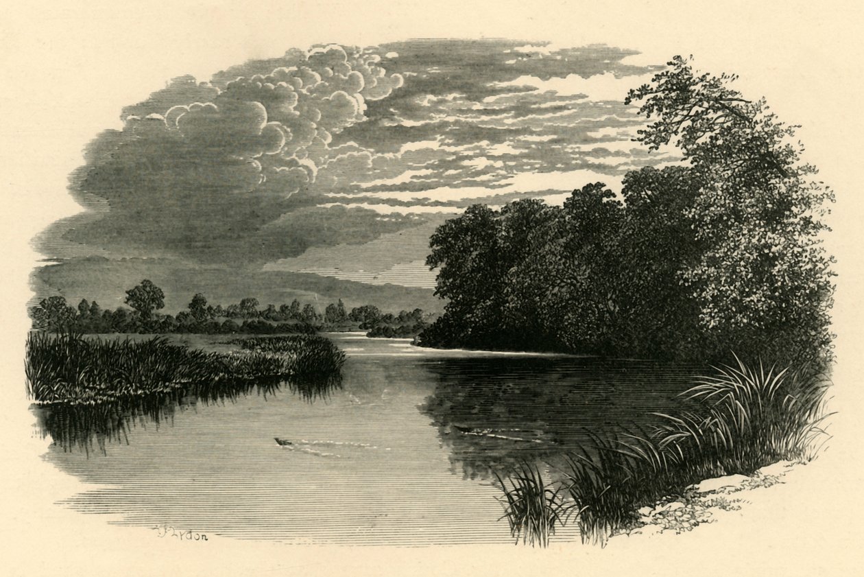 Am Avon. Strensham Reach, um 1890 von Unbekannt