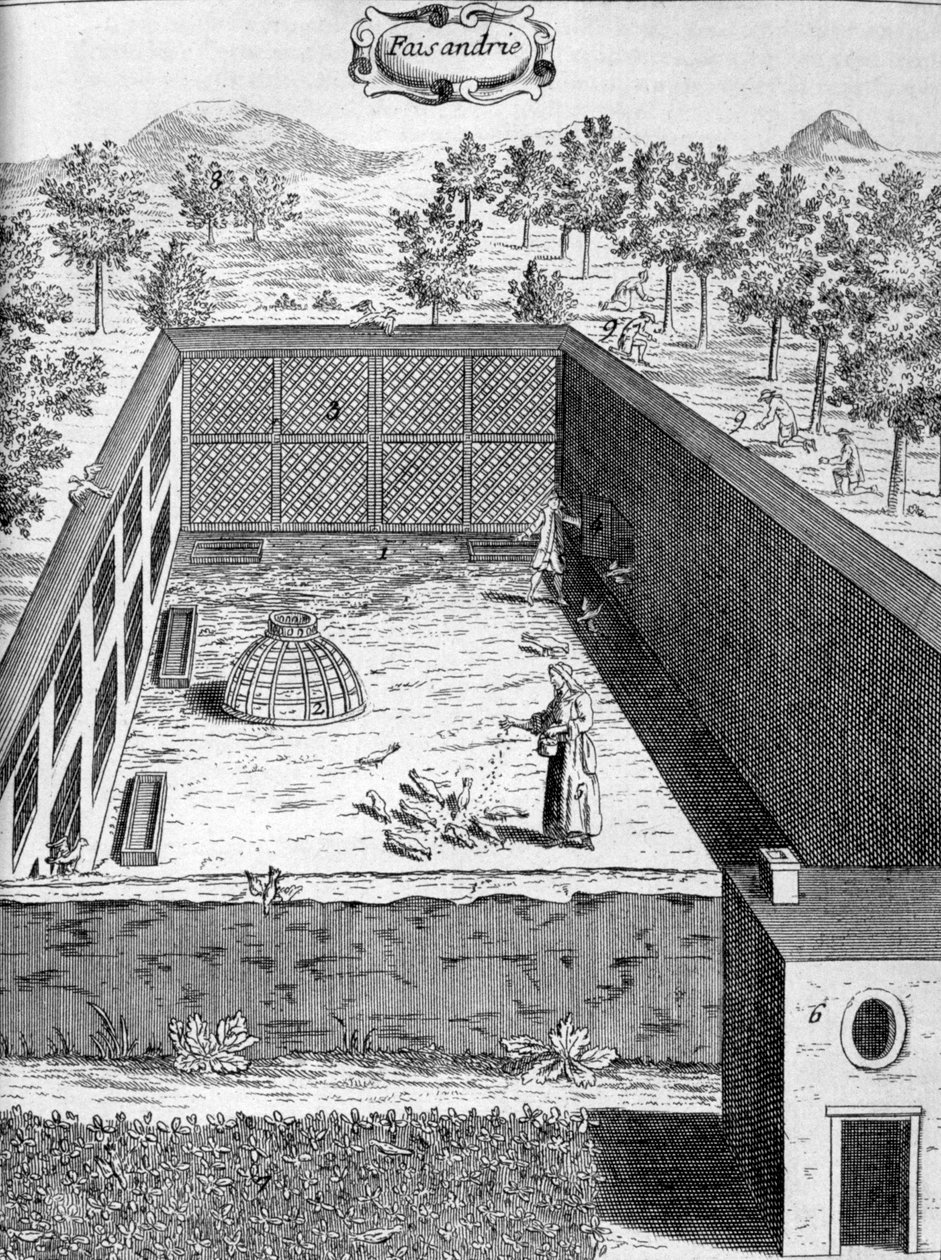 Fasanerie, 1775 von Unbekannt