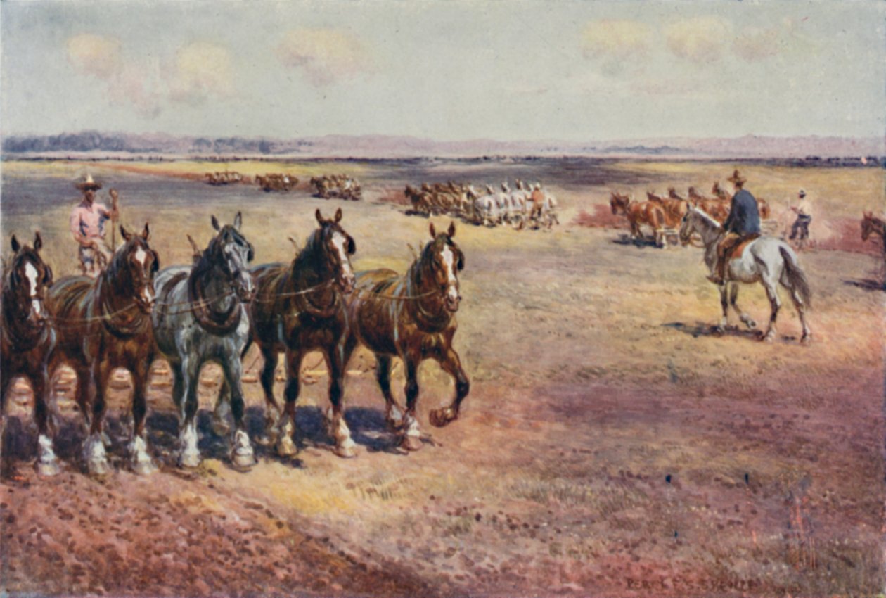 Pflügen im großen Stil, 1923 von Unbekannt