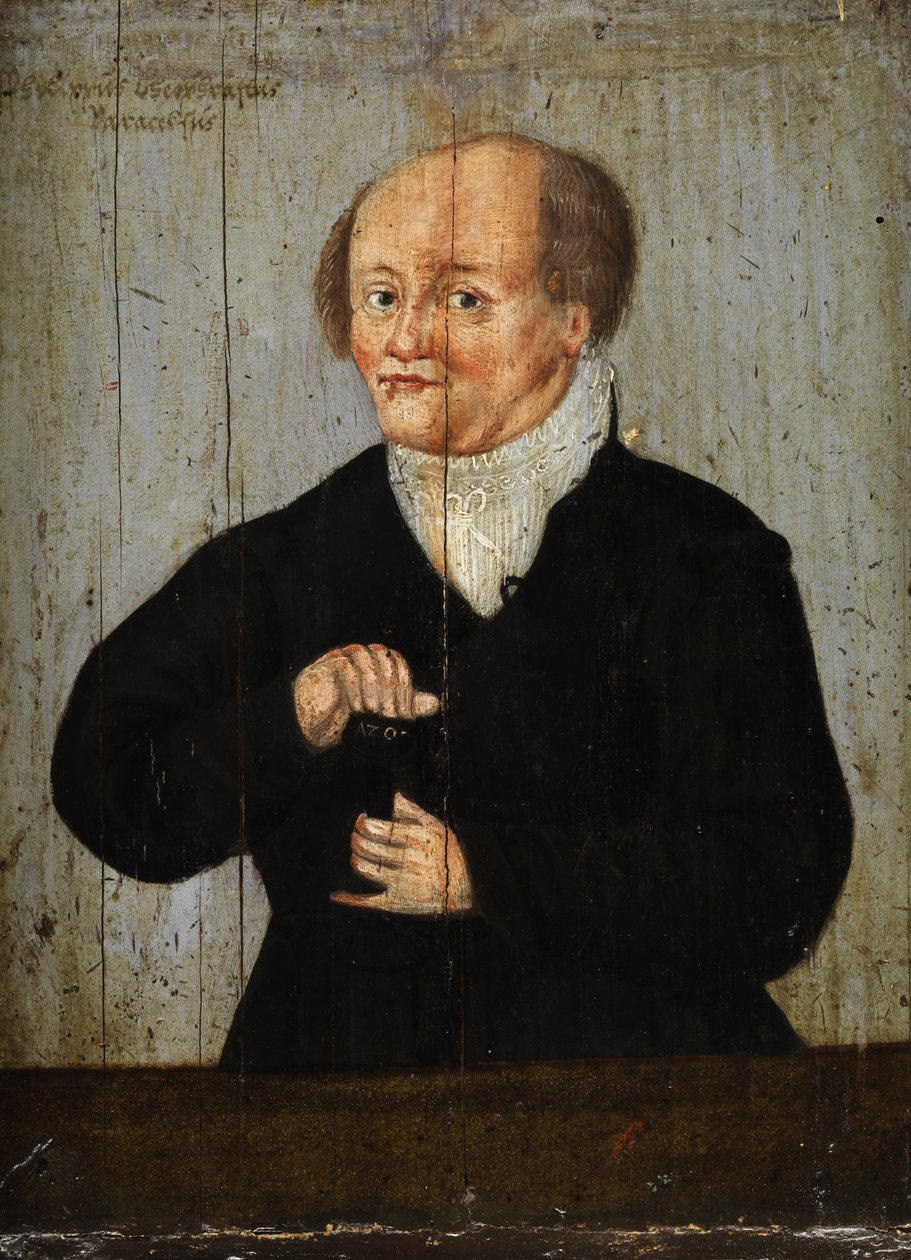 Porträt von Paracelsus von Unbekannt