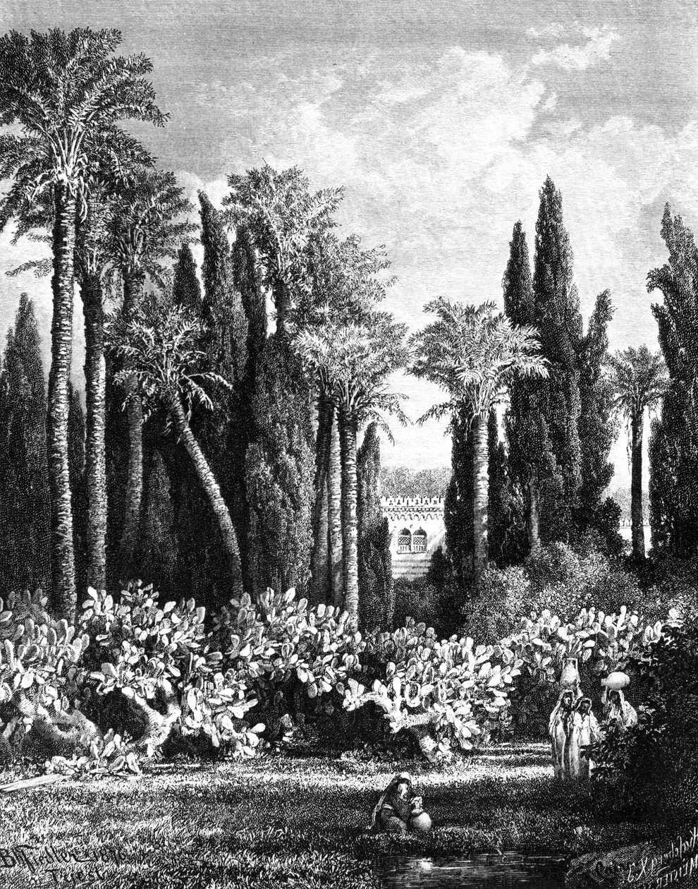 Fürstlicher Garten in Kairo, Ägypten, 1880 von Unbekannt