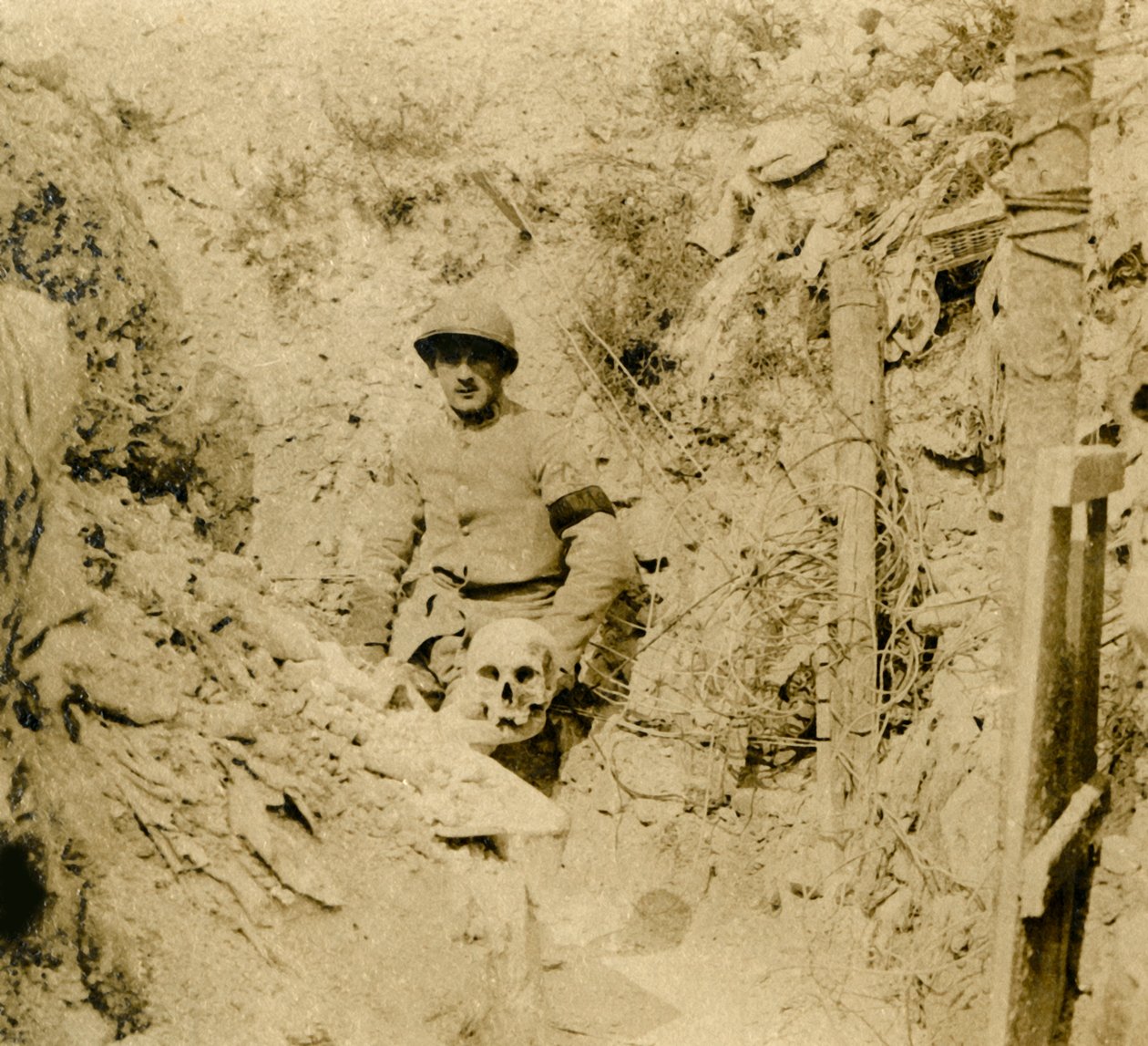 Schädel, der in den Schützengräben gefunden wurde, um 1914-1918 von Unbekannt