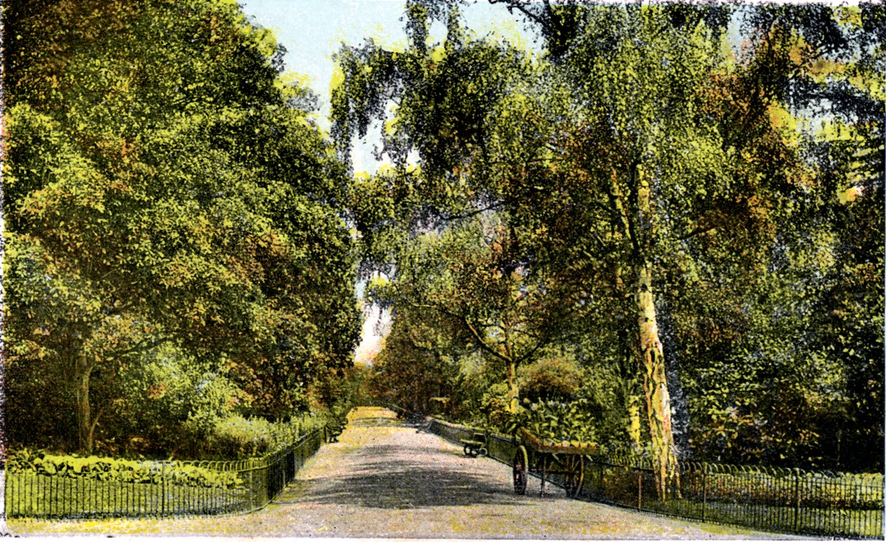 Der Blumenweg, Kensington Gardens, London, 20. Jahrhundert von Unbekannt