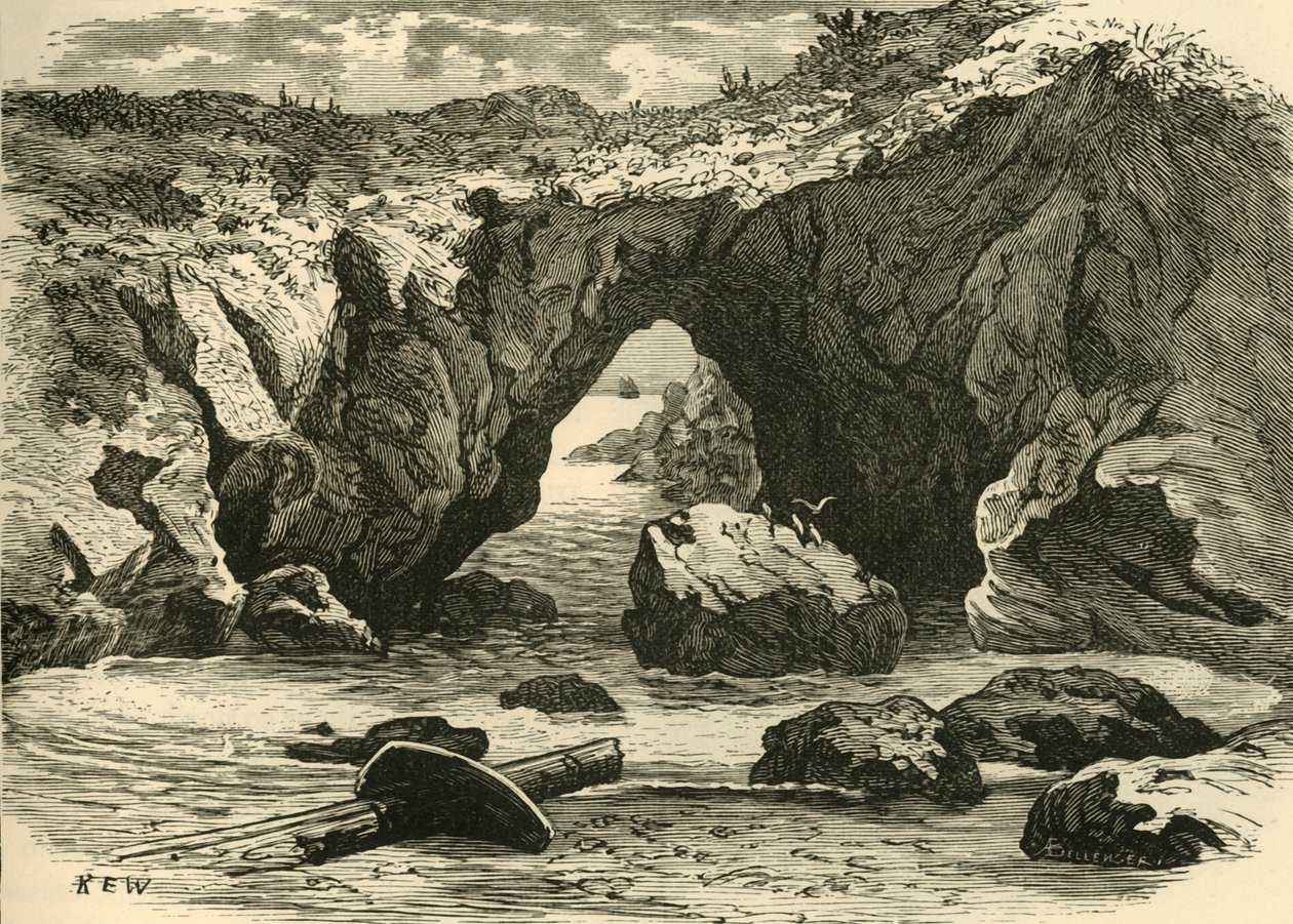 Die Bratpfanne, 1898 von Unbekannt