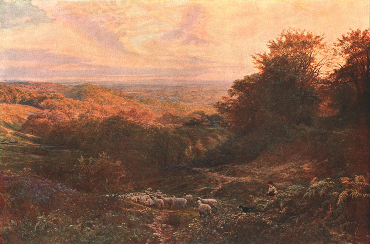 Das Herz von Surrey, 1874, ca. 1902 von Unbekannt