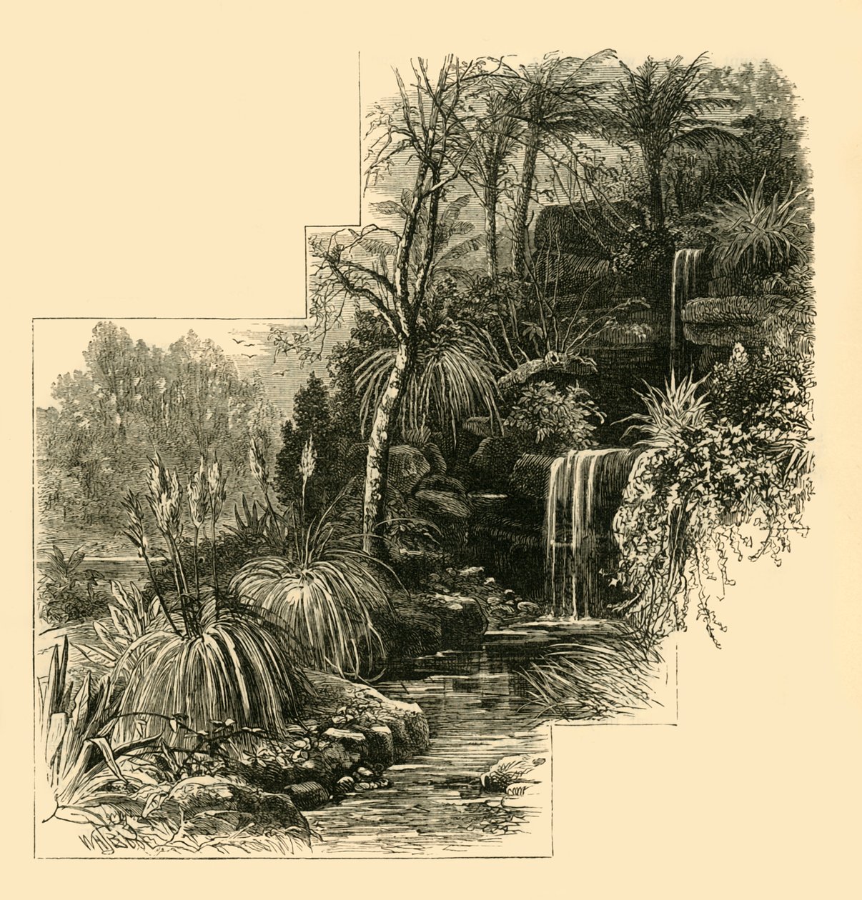 Die Tropischen Gärten, Battersea Park, ca. 1878 von Unbekannt