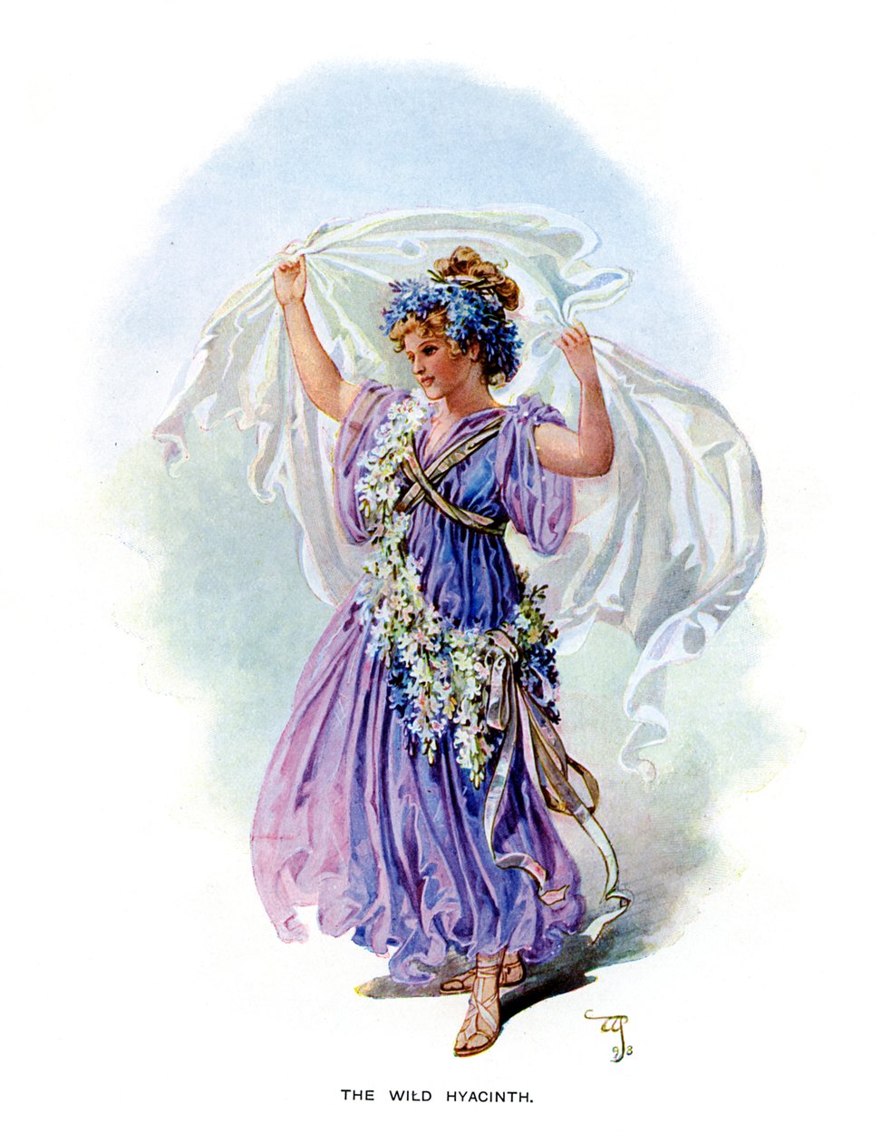 Die wilde Hyazinthe, 1899 von Unbekannt