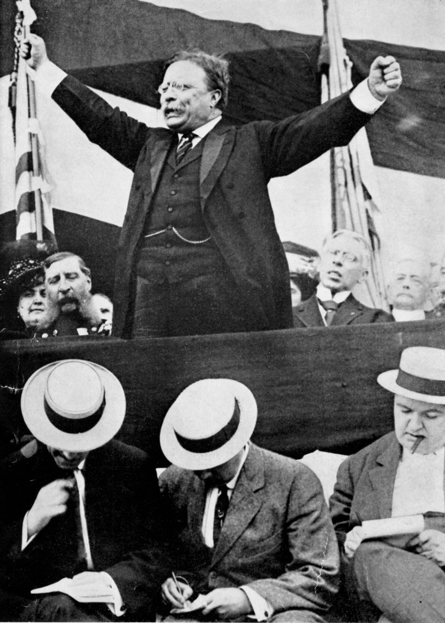 Theodore Roosevelt, amerikanischer Präsident, 1901-1909 von Unbekannt
