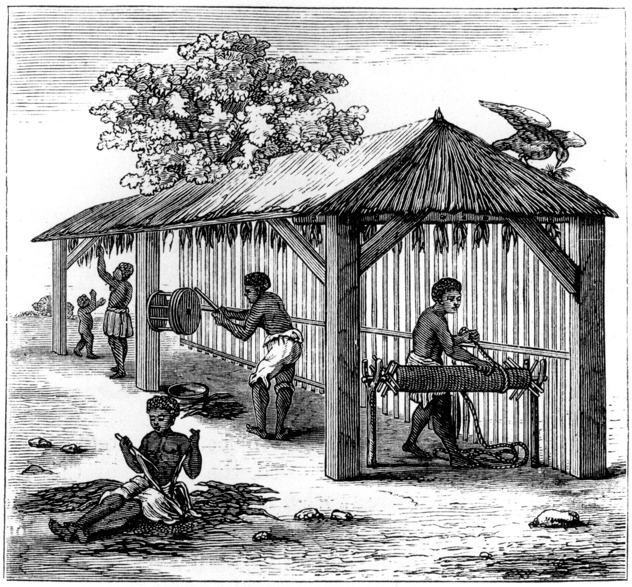 Tabakvorbereitung, 1873 von Unbekannt