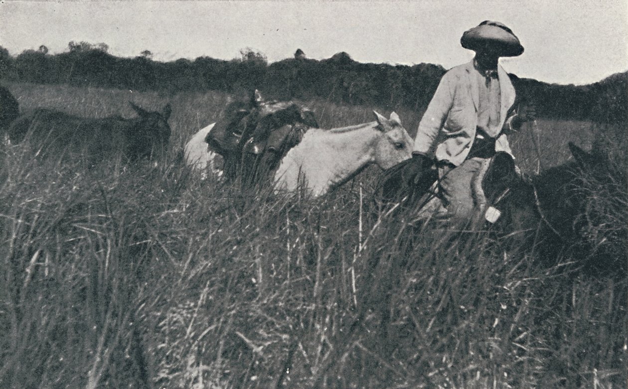 Reisen auf den Pampas, 1916 von Unbekannt