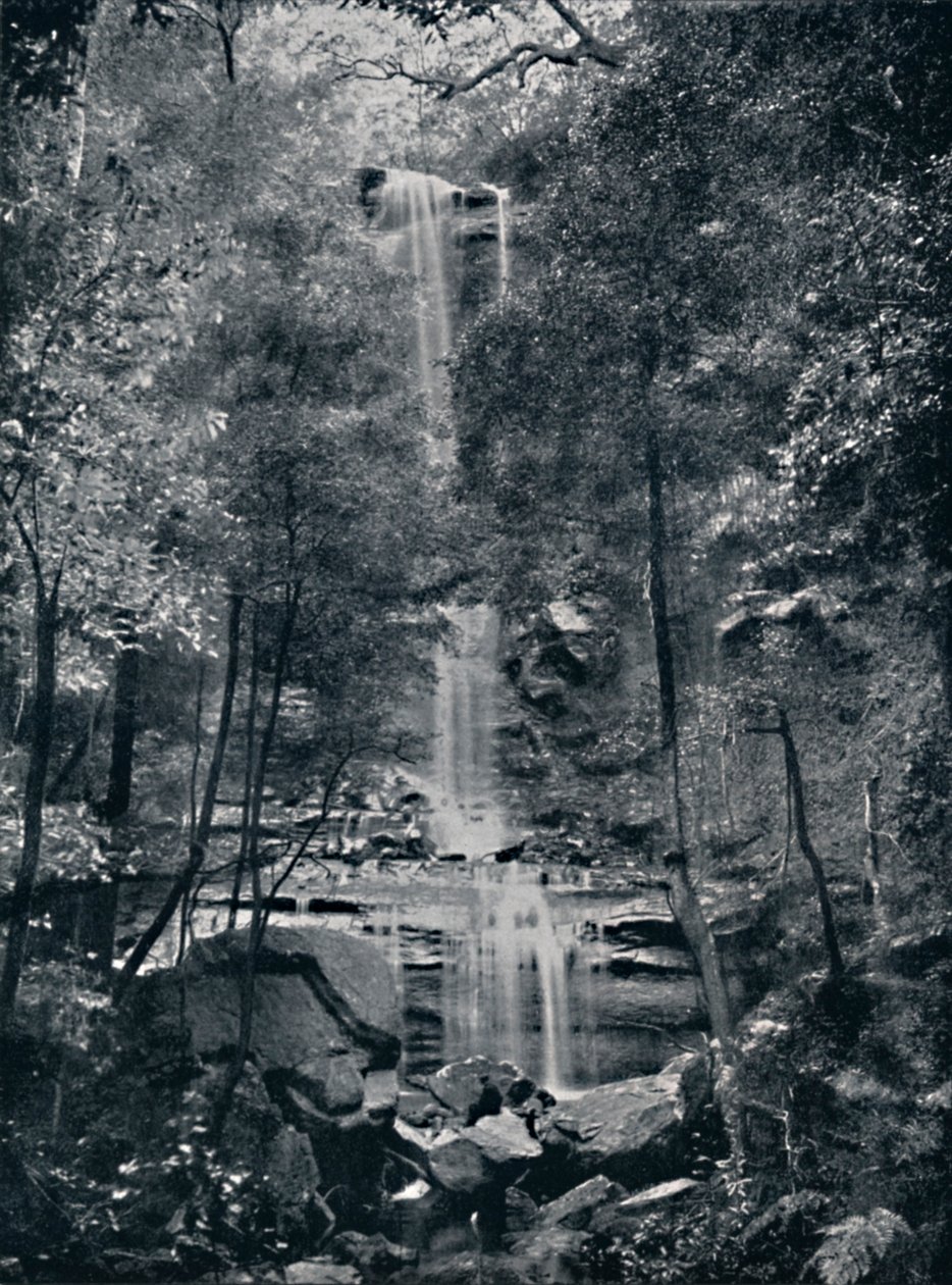 Tal der Wasser, Blue Mountains von Unbekannt