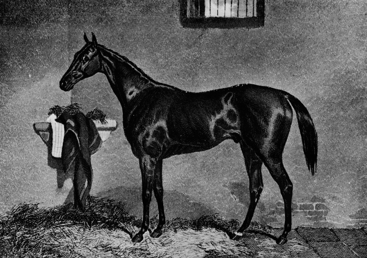 Voltigeur, 1847-1874, 1911 von Unbekannt