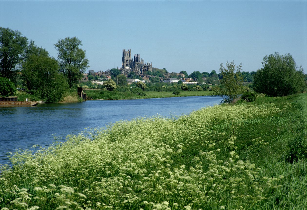 Ely Kathedrale und der Fluss Ouse von Unbekannt Unbekannt
