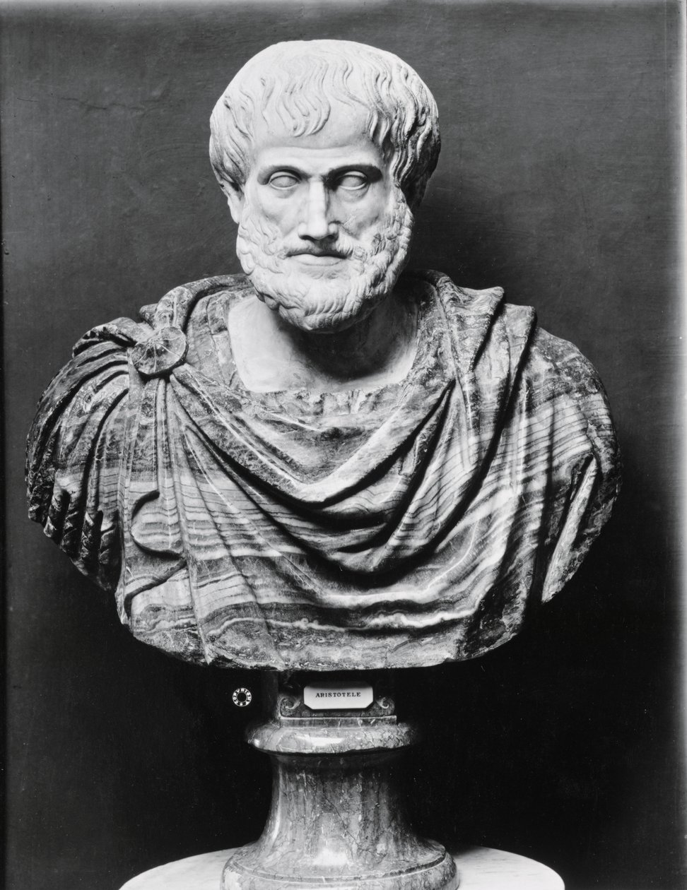 Büste von Aristoteles von Unbekannt Unbekannt
