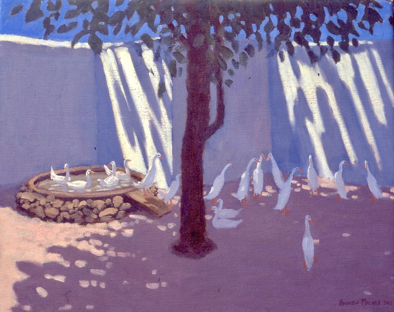 Laufenten, Südafrika, 2011 von Unbekannt Unbekannt