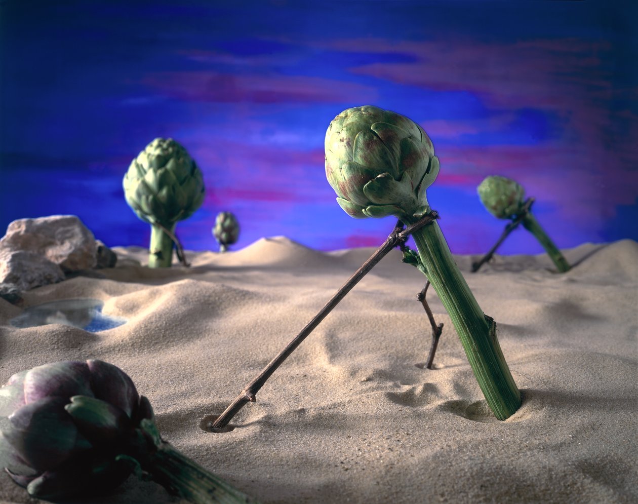 Art-ichoke (Dali) 1996 von Unbekannter Künstler