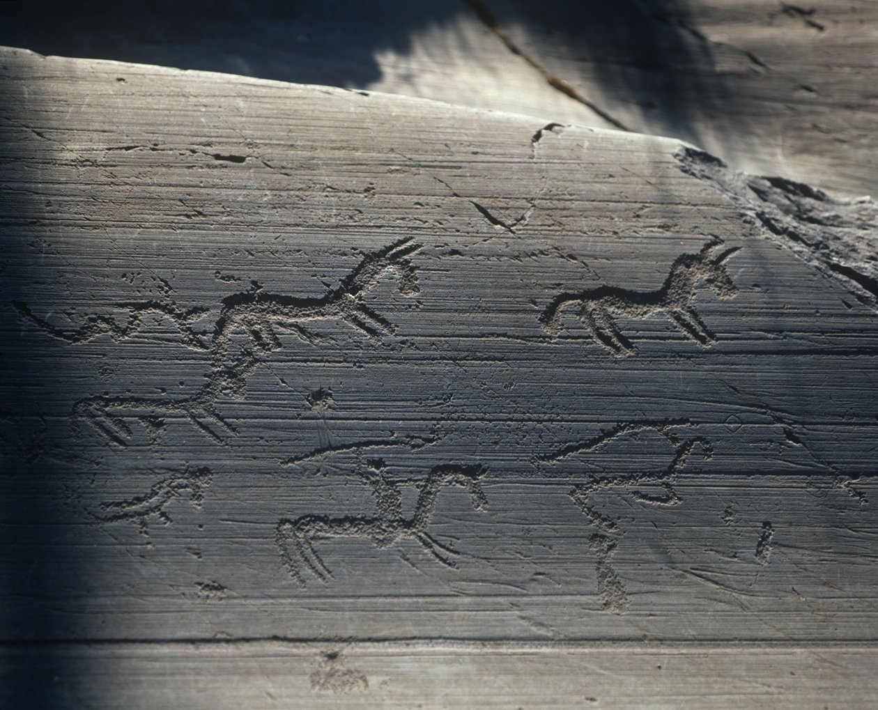 Italien, Lombardei, Camonica-Tal, Petroglyphen auf Felsen von Benjamin Baud