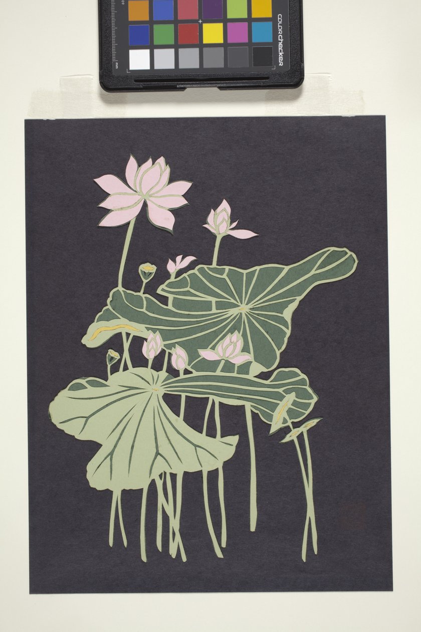 Lotus von Unbekannter Künstler