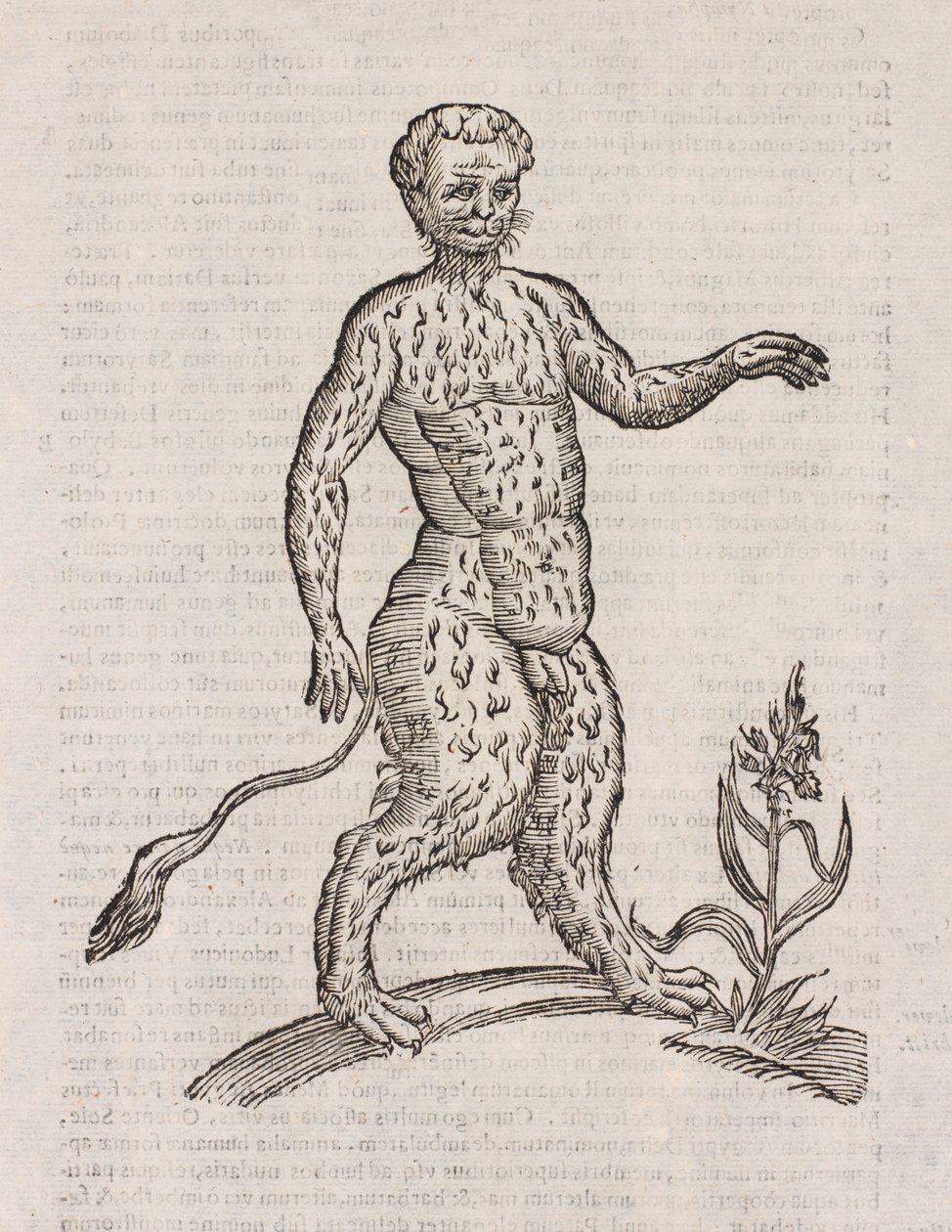 Andere Art von Satyr von Unbekannt