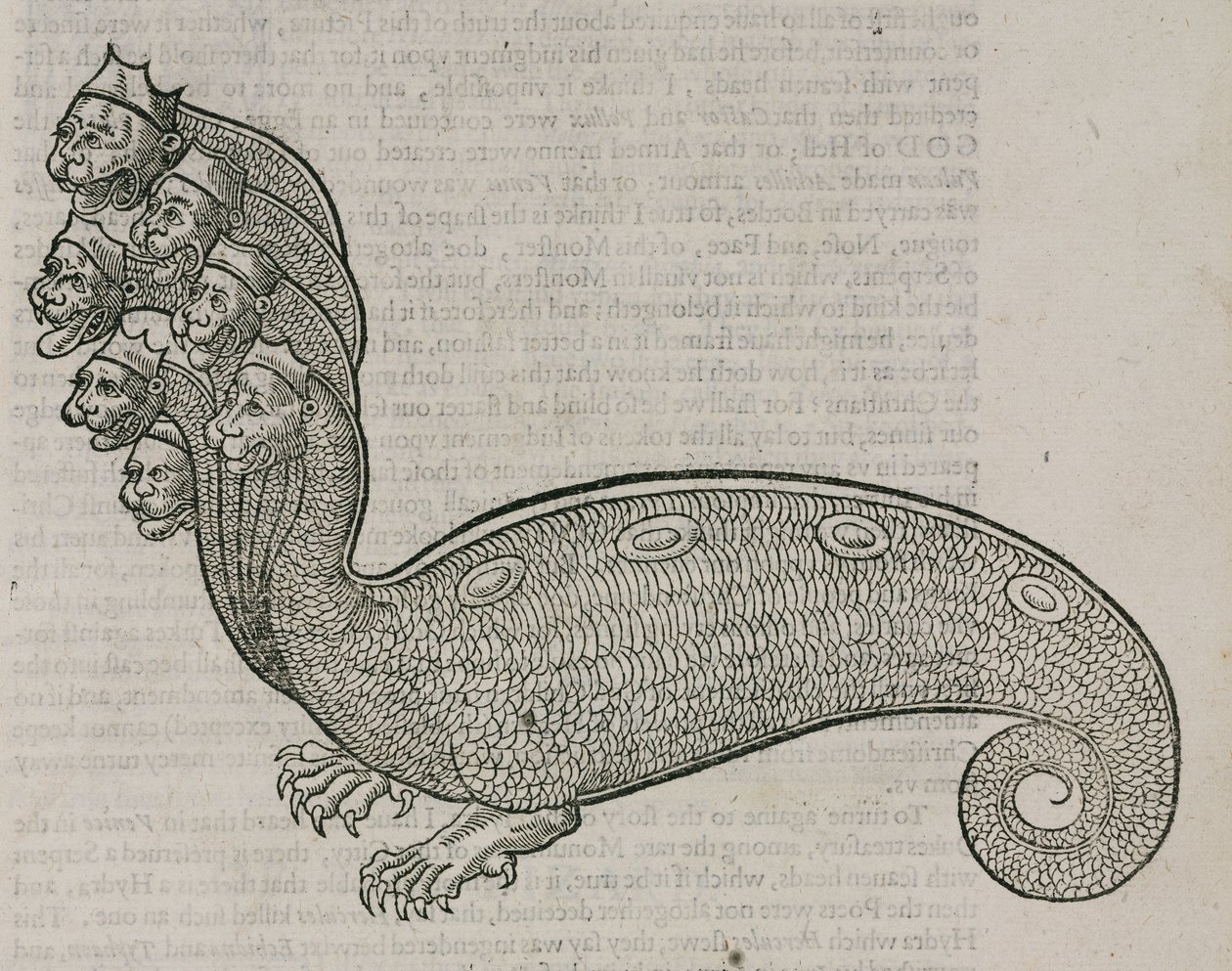 Die Hydra von Unbekannt