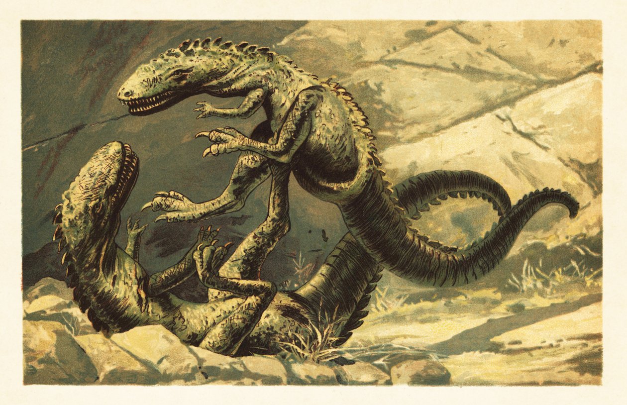 Zwei kämpfende Dryptosaurus aquilunguis. 1908 (Lithografie) von Unbekannter Künstler