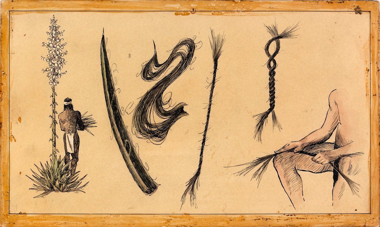 Yucca-Seilherstellung von Unidentified