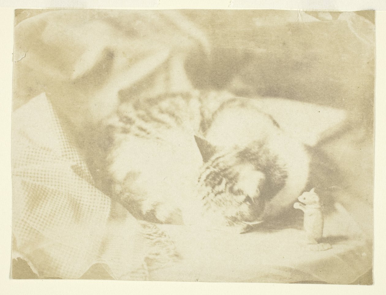 Mrs. Craiks Katze von Unknown