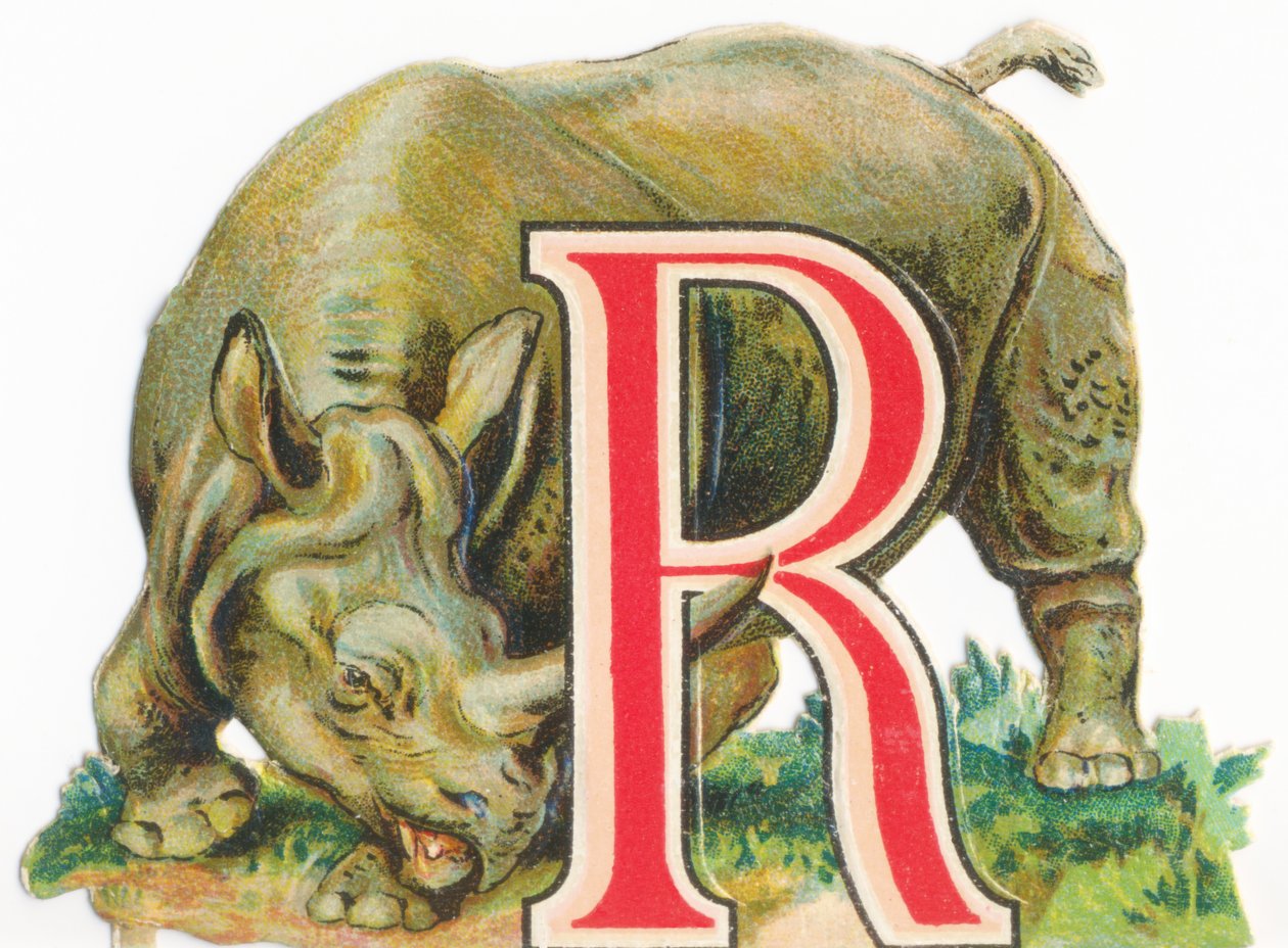 A: Nashorn von Unknown artist