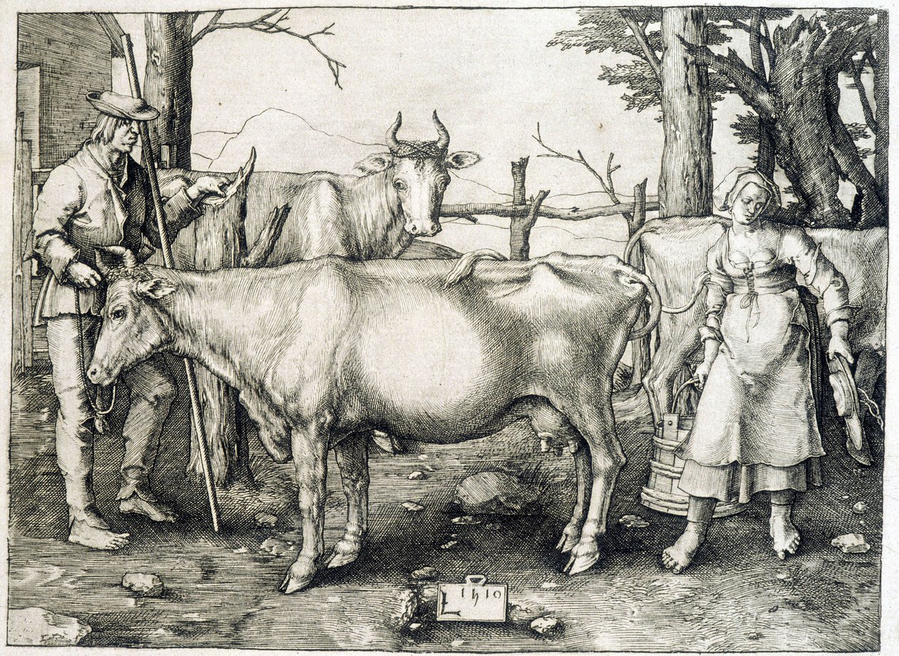 Kuh und Molkerei in Holland von Unknown artist