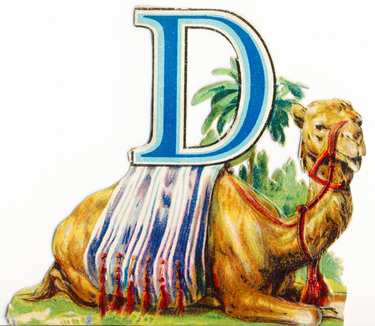 D: Dromedar von Unknown artist