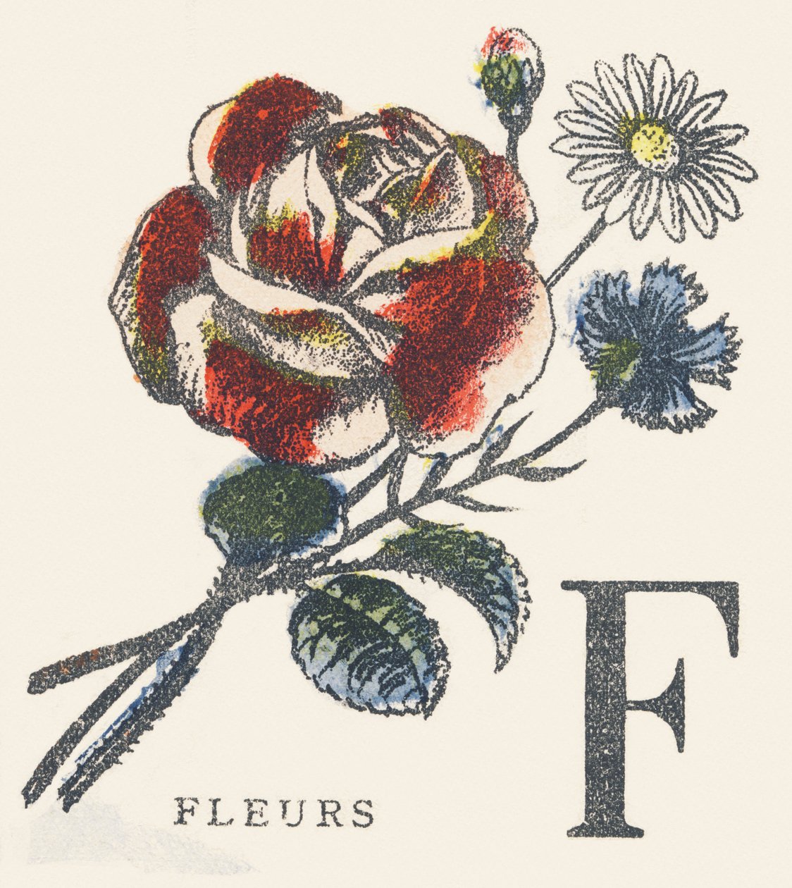 F: Blumen von Unknown artist