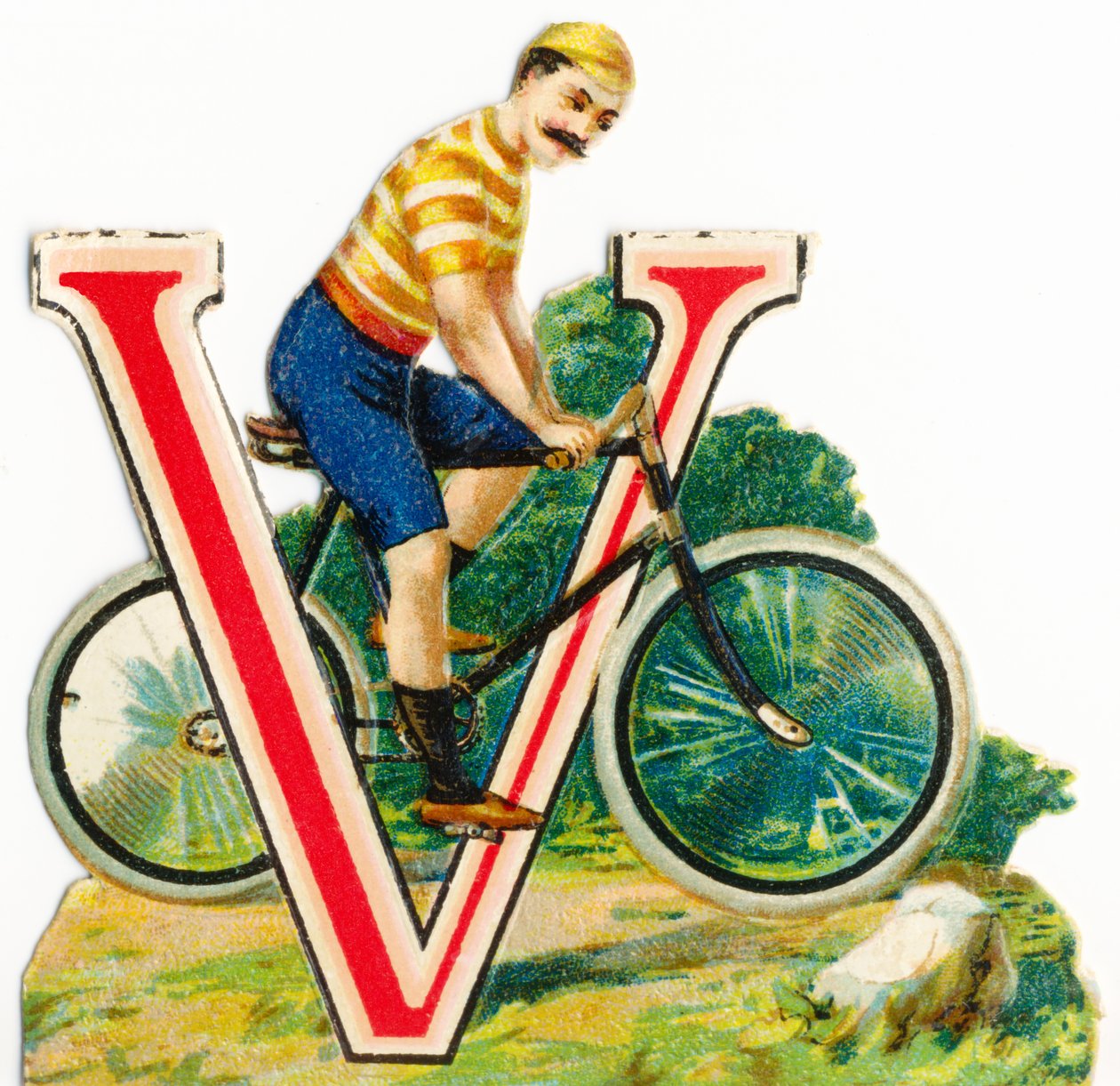 V: Veloziped von Unknown artist