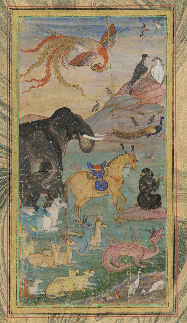 Tiere und Vögel von Unknown artist