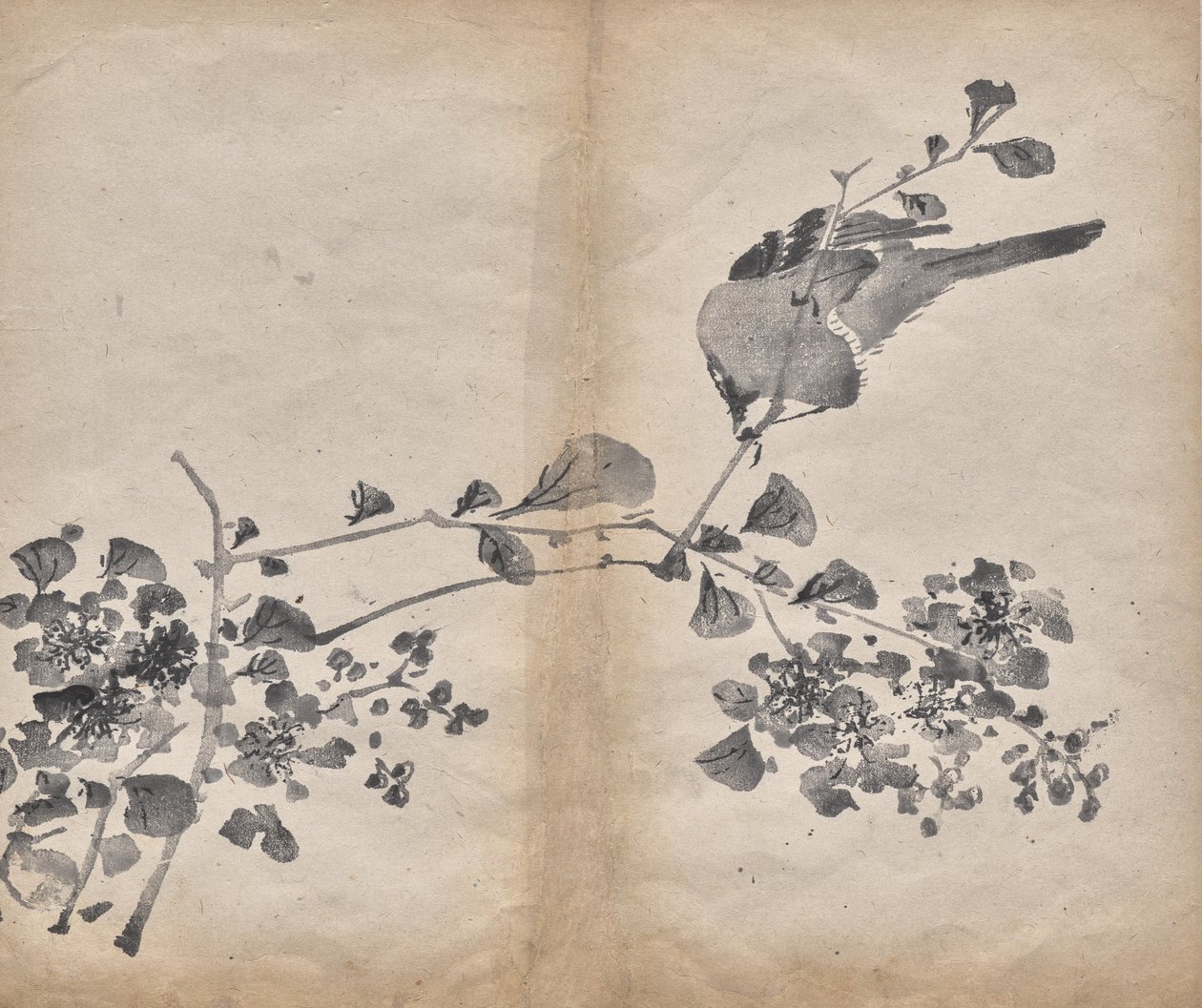 Blüten von Unknown artist