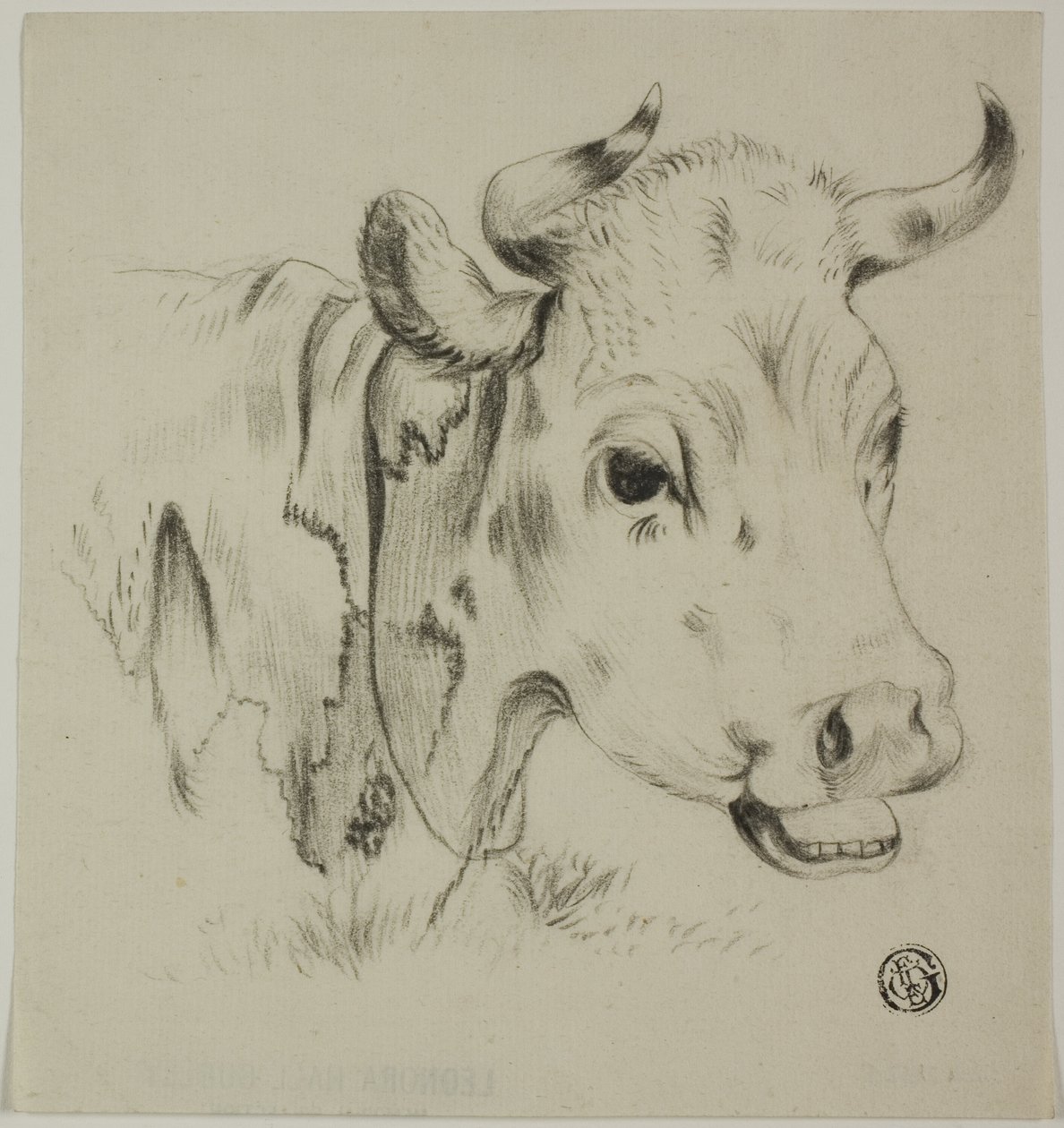 Kuhkopf von Unknown artist