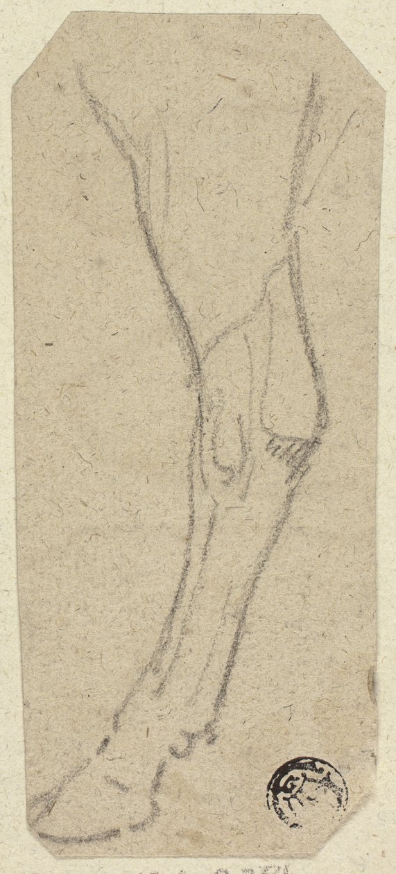 Kuhbein von Unknown artist