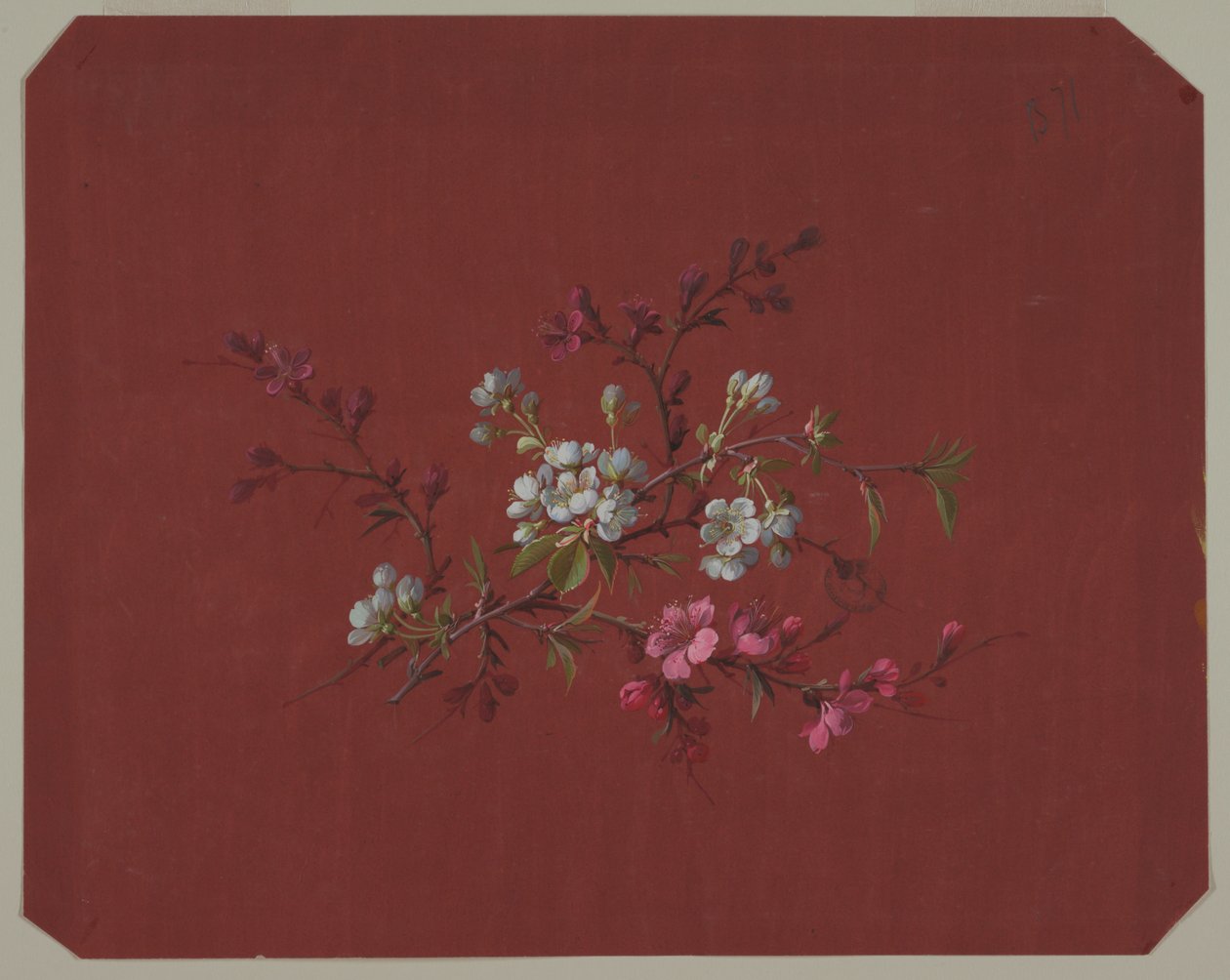 Entwurf für Tapeten und Textilien: Blumen von Unknown artist