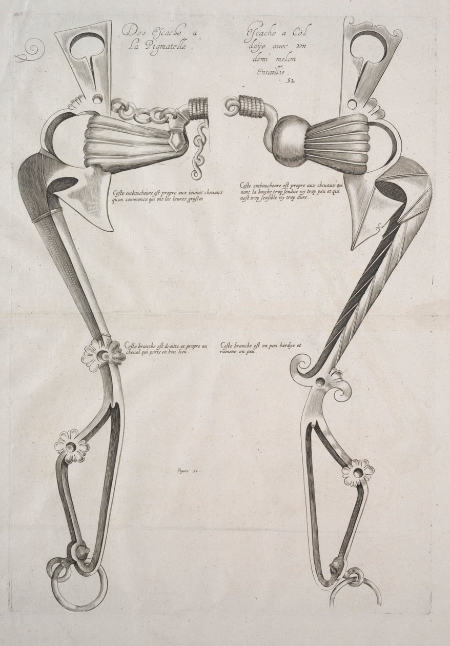 Diagramm für ein Pferdegebiss von Unknown artist