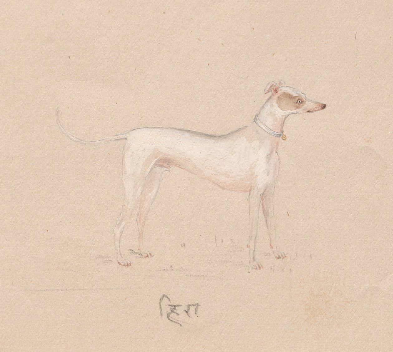 Hund von Unknown artist