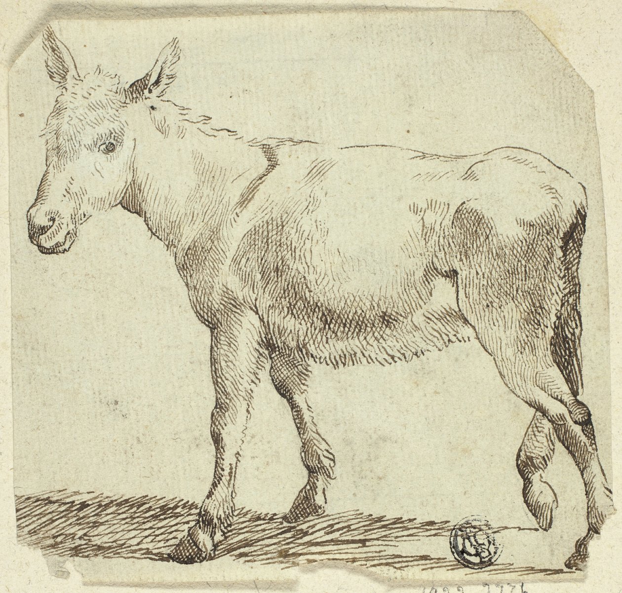Esel von Unknown artist