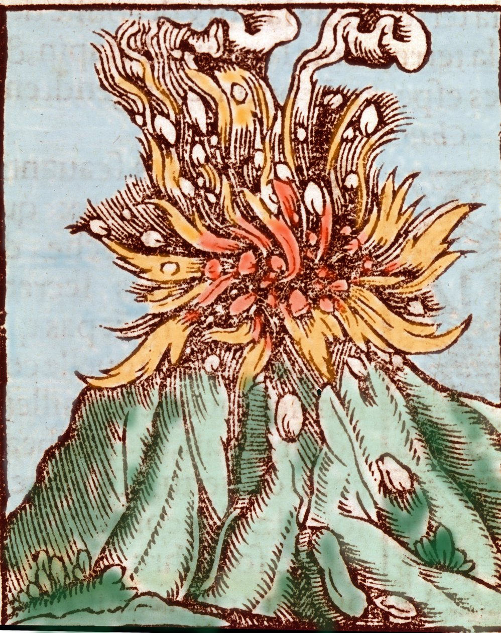 Ausbruch eines Vulkans. Gravur aus dem 16. Jahrhundert von Unknown artist