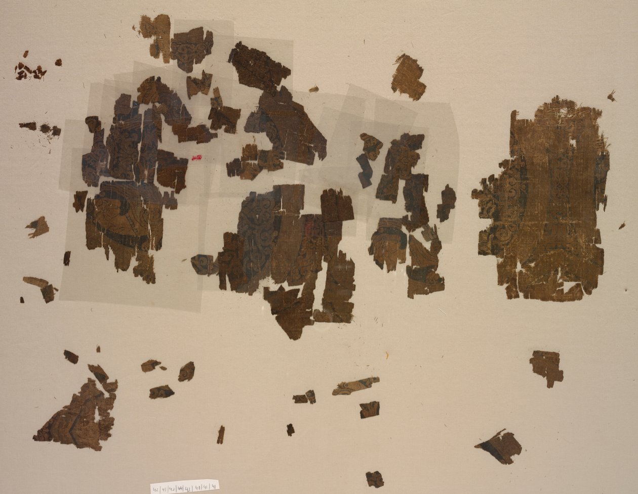 Fragmente mit geflügelten Löwen in Rundmedaillons von Unknown artist