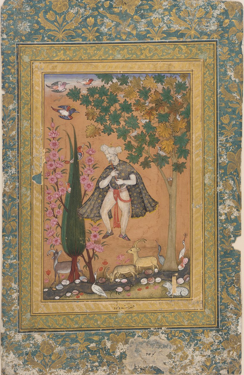 König David bezaubert Vögel und Tiere von Unknown artist