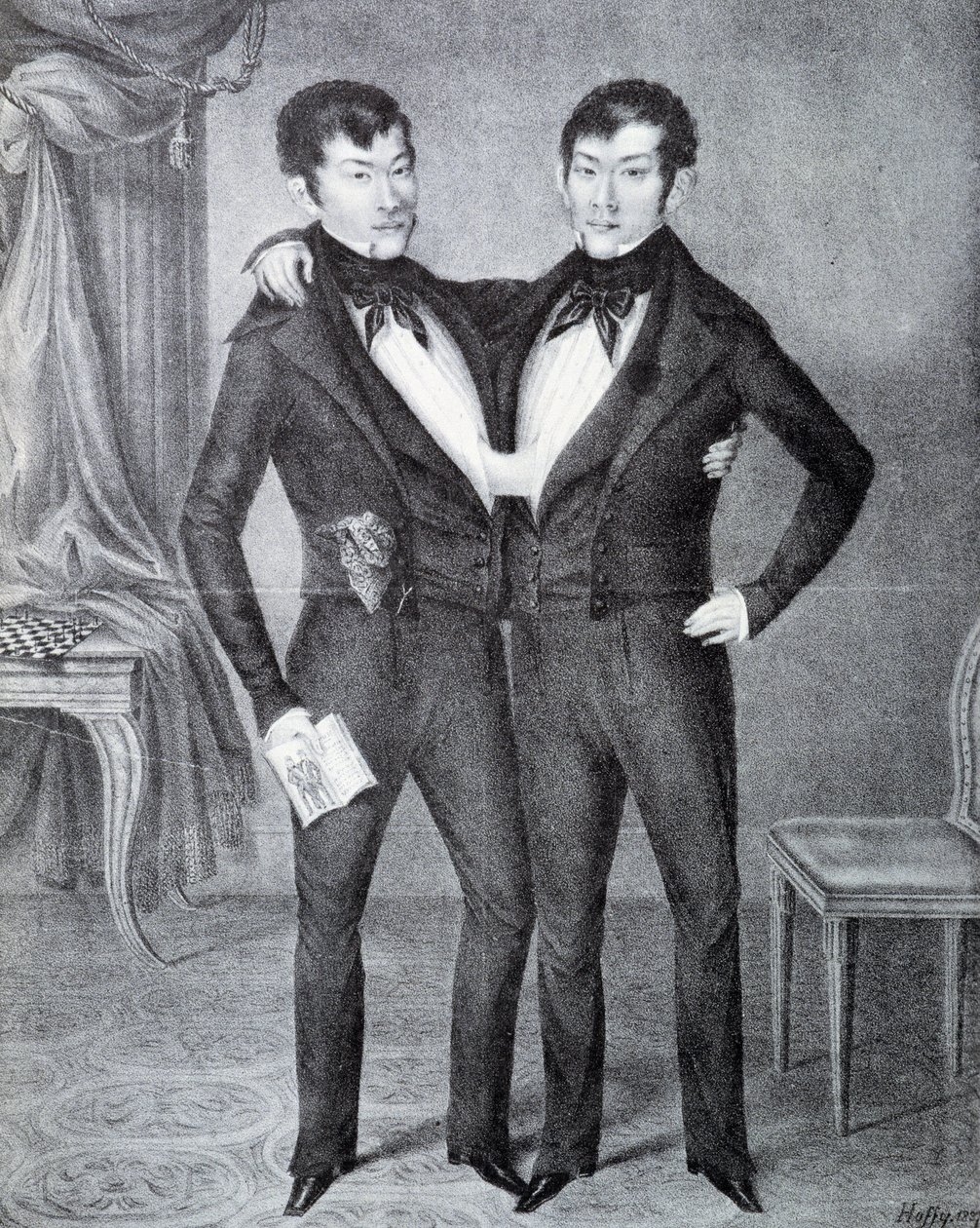 Siamese von Unknown artist