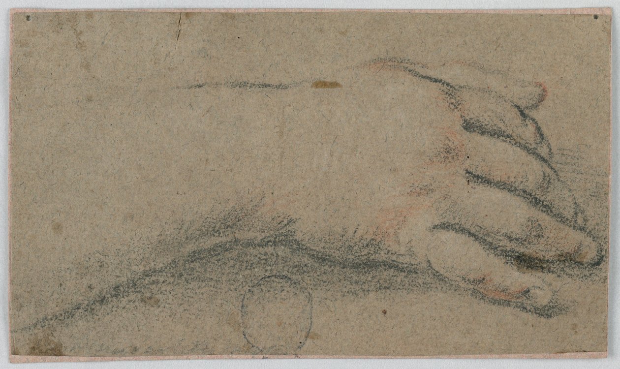 Studie: Die rechte Hand einer Frau von Unknown artist