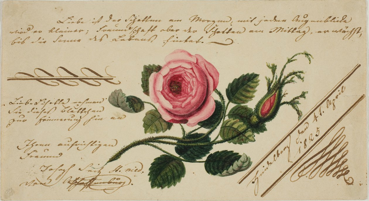 Unbetiteltes Valentinsbild (Rosa Blume) von Unknown artist