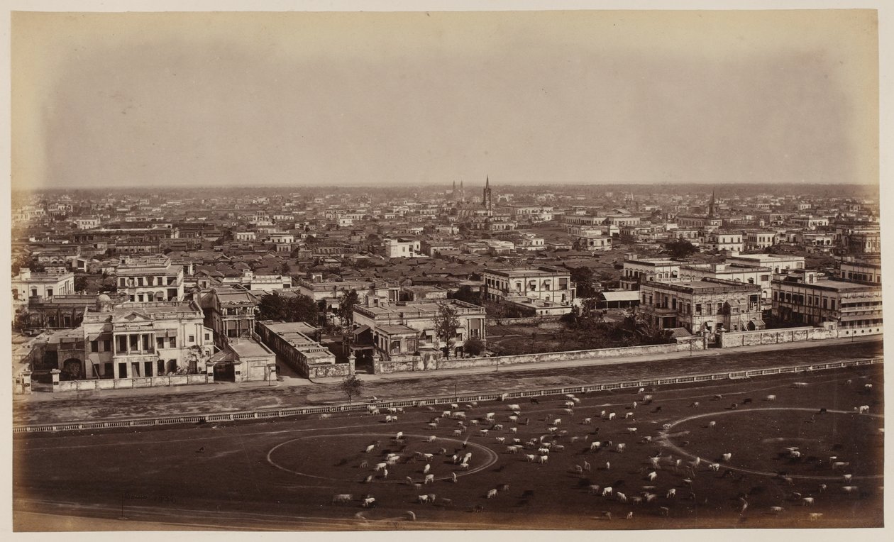 Ansicht vom Ochterlony-Denkmal, Kalkutta von Unknown photographer